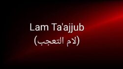 Lam Ta’ajjub (لام التعجب) Dalam Ilmu Nahwu